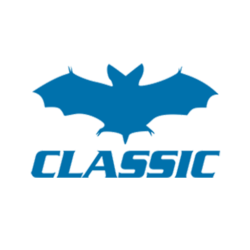 متن جایگزین تصویر